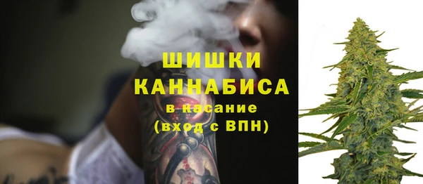 твердый Аркадак