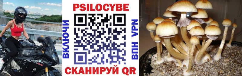 Галлюциногенные грибы Cubensis  Сарапул 